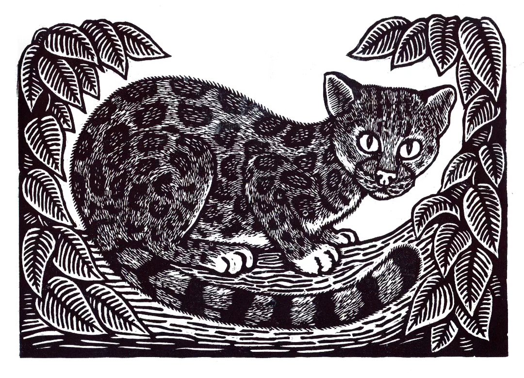 Puma — Xilografía sobre papel – 29,7x42cm – 2026