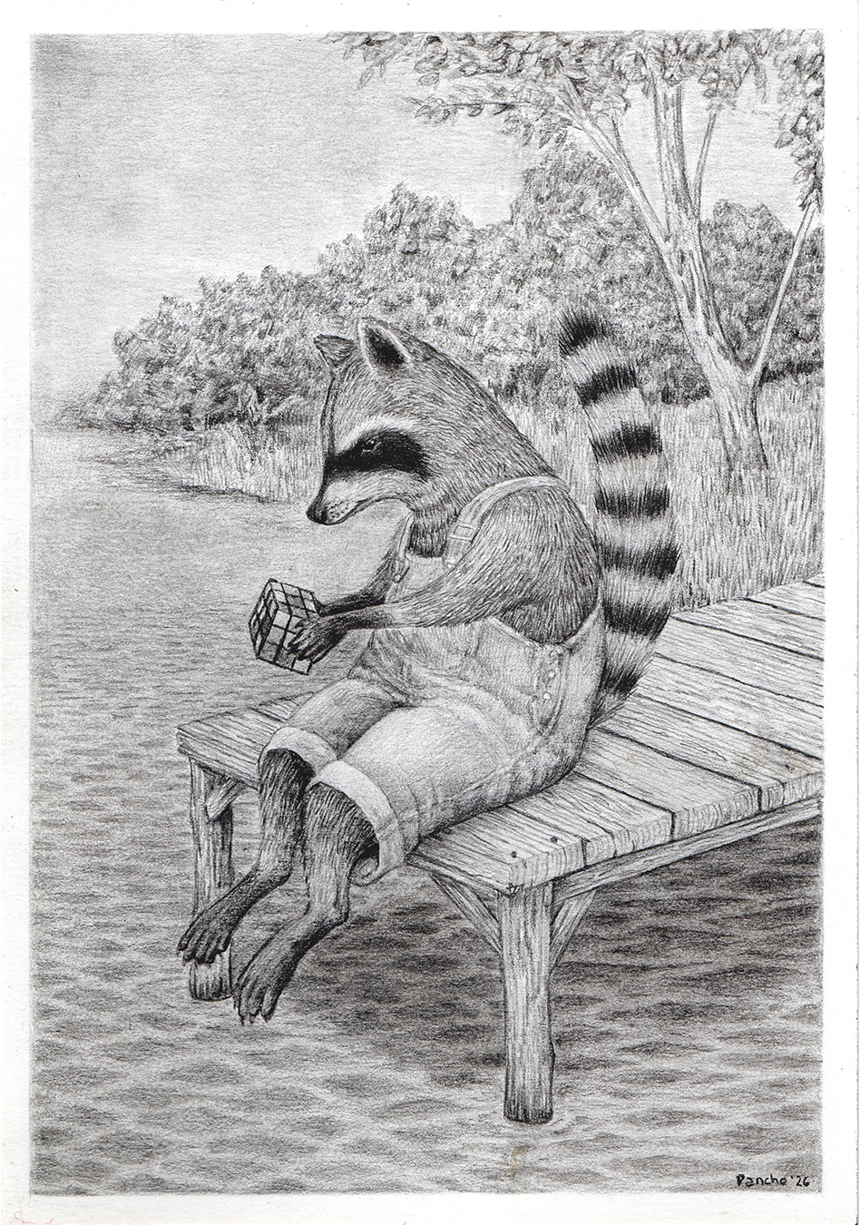 Aguará popé — Grafito sobre papel – 14,8 x 21 cm – 2026