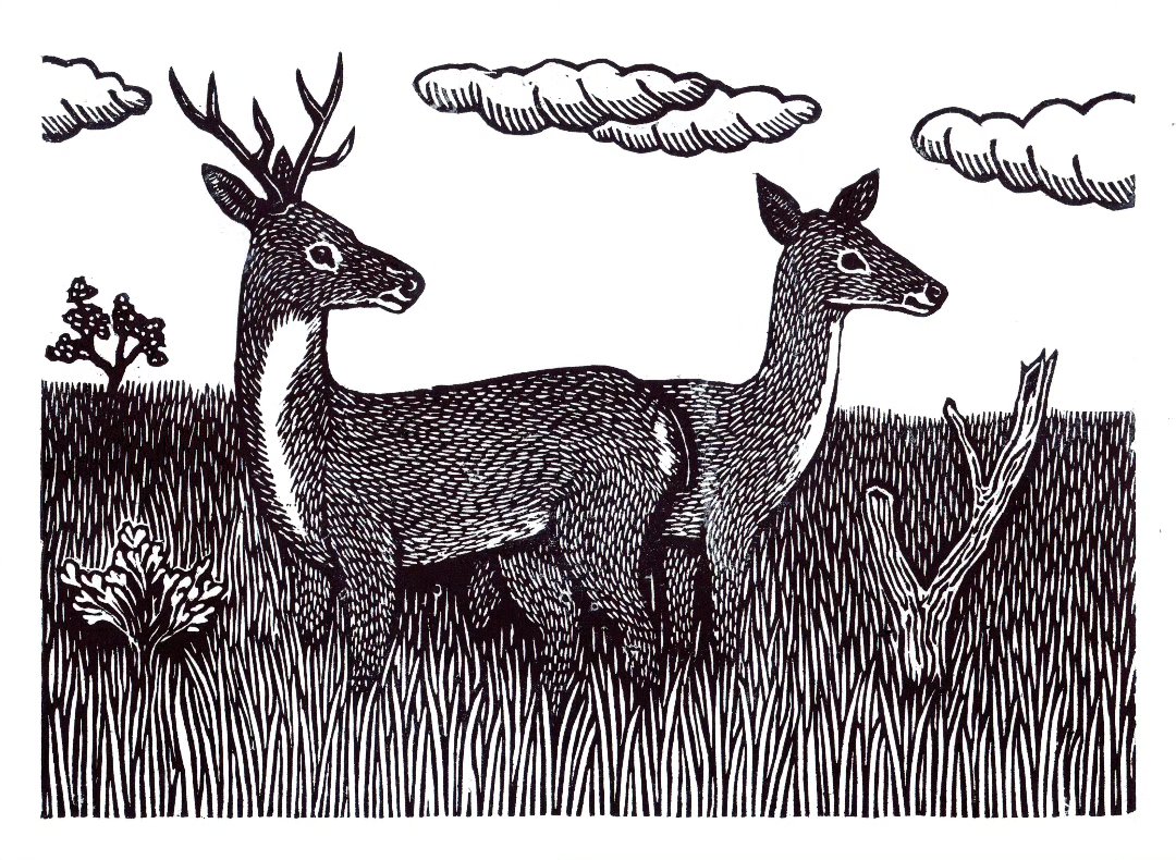 Venado de las pampas — Xilografía sobre papel – 29,7x42cm – 2026