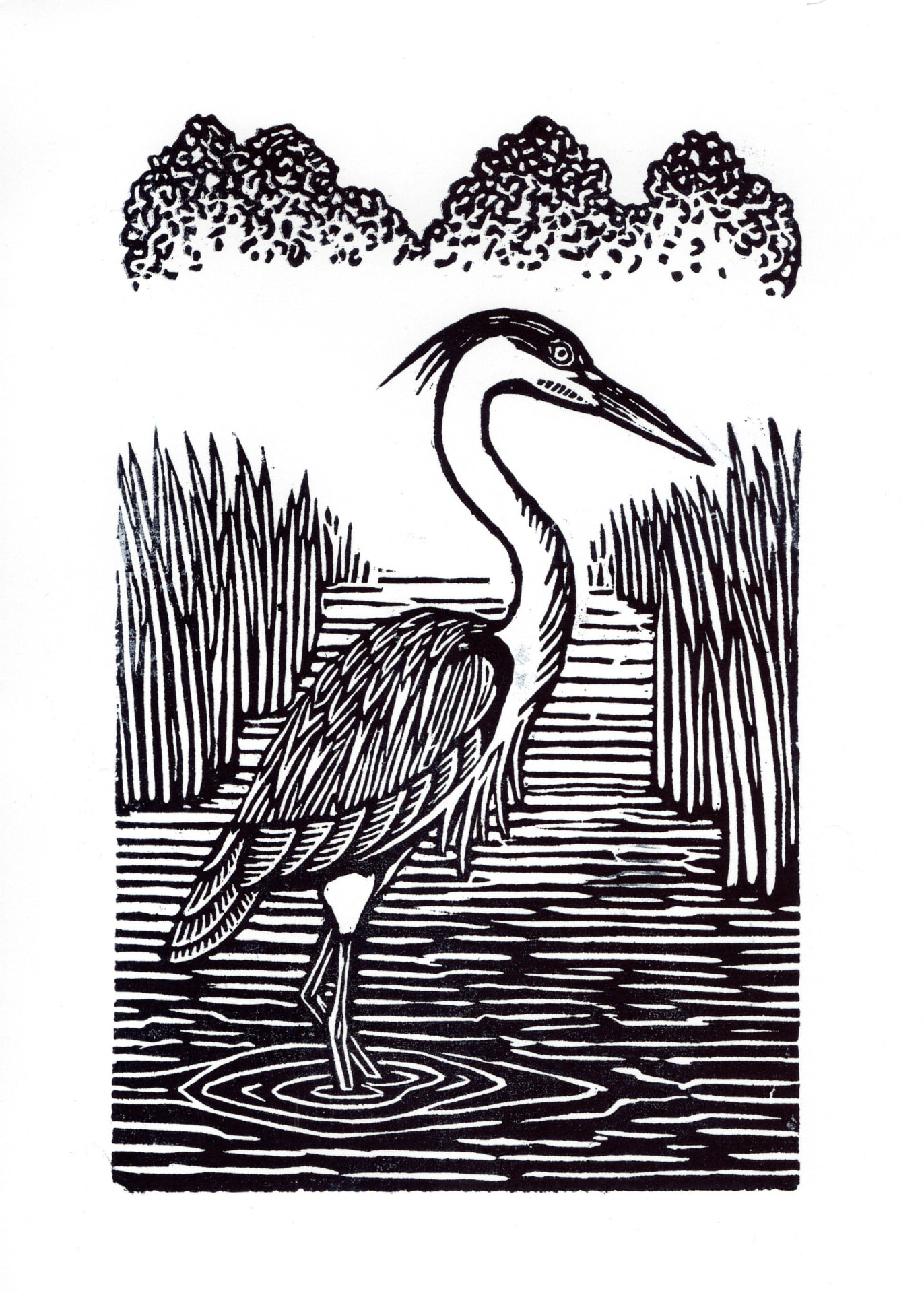 Garza — Xilografía sobre papel – 29,7x42cm – 2026