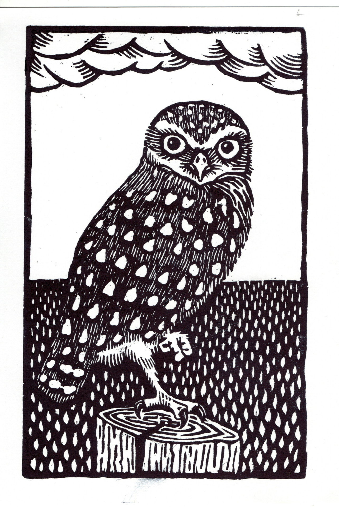 Lechucita viscachera — Xilografía sobre papel – 29,7x42cm – 2026