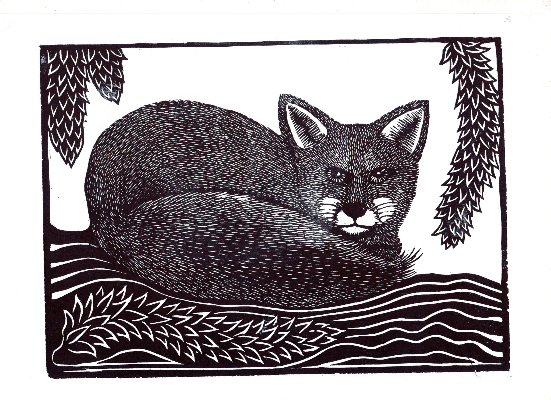 Gato montés — Xilografía sobre papel – 29,7x42cm – 2026